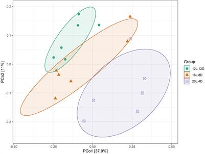 Effect of Changes in Photoperiods on Melatonin Expression and Gut Health Parameters in Laying Ducks